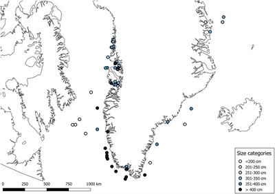 Greenland Shark (Somniosus microcephalus) Stomach Contents and Stable Isotope Values Reveal an Ontogenetic Dietary Shift